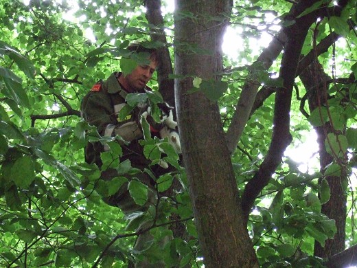 Ortsfeuerwehr barg Katze aus 15 Mehter H&ouml;he